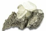 Light Yellow Calcite Crystals on Dolomite - Missouri #252144-1